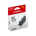 Canon 65 GY Gray Standard Yield Ink Cartridge (4219C002)