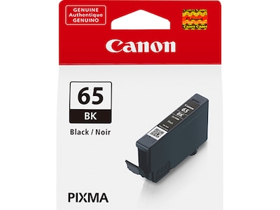 Canon 65 BK Black Standard Yield Ink Cartridge (4215C002)