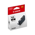 Canon 65 BK Black Standard Yield Ink Cartridge (4215C002)