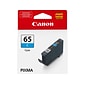 Canon 65 C Cyan Standard Yield Ink Cartridge (4216C002)