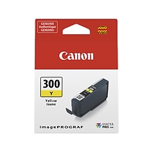 Canon 300 Y Yellow Standard Yield Ink Cartridge (4196C002)