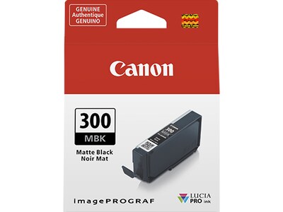 Canon 300 MBK Matte Black Standard Yield Ink Cartridge (4192C002)