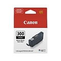 Canon 300 MBK Matte Black Standard Yield Ink Cartridge (4192C002)