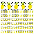 Schoolgirl Style Simply Stylish Straight Border, 3 x 216, Tropical Pineapples (CD-108388-6)