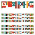 Carson Dellosa Education Straight Border, 3 x 216, All Are Welcome Flags (CD-108441-6)