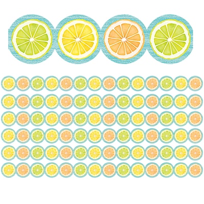 Teacher Created Resources Die-Cut Border , 2.75 x 210, Lemon Zest Citrus Slices (TCR8490-6)