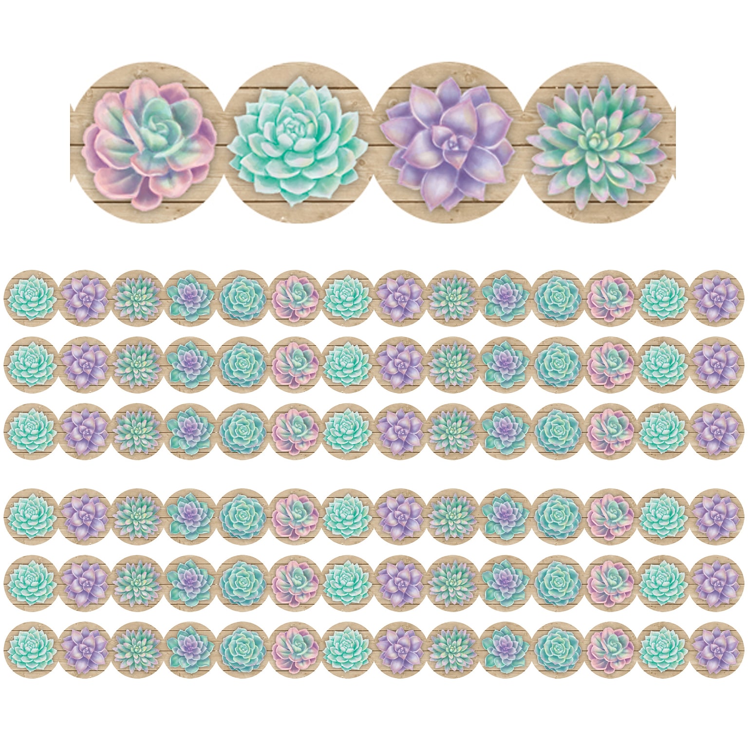 Teacher Created Resources Rustic Bloom Die-Cut Border, 2.75 x 210, Succulents (TCR8591-6)