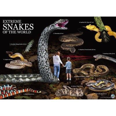 Extreme Science Kit Snakes Of The World, (CTUWES944)