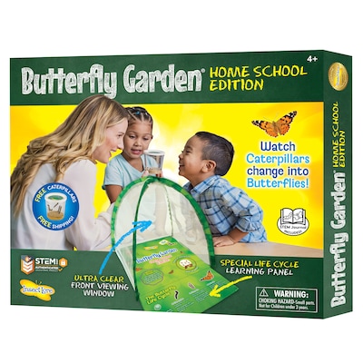 Insect Lore Butterfly Garden® Homeschool Edition (ILP1035)