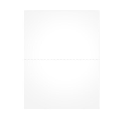 TOPS W-2 Blank Front and Back Tax Form, 1 Part, White, 8 1/2 x 11, 100 Forms/Pack (BLW2Q)