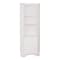 Prepac Elite White Tall 1-Door Corner Storage Cabinet (WSCC-0604-1)