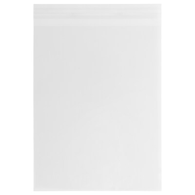 JAM Paper Currency Envelope, 8 15/16 x 11 1/4, Clear, 100/Pack (PAPERSIZECELLO)