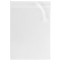 JAM Paper Currency Envelope, 8 15/16 x 11 1/4, Clear, 100/Pack (PAPERSIZECELLO)