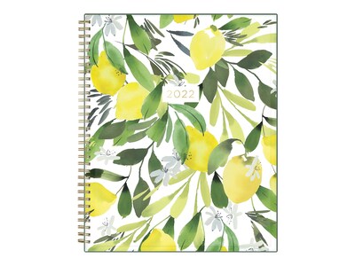 2022 Kelly Ventura for Blue Sky 8.5 x 11 Weekly & Monthly Planner, Lemonfresh (133953)