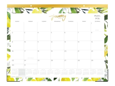 2022 Kelly Ventura for Blue Sky 17 x 22 Monthly Desk Pad Calendar, Lemonfresh (134012)