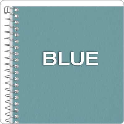 Oxford 1-Subject Notebooks, 6" x 9.5", College Ruled, 80 Sheets, Blue (65121)