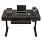 FlexiSpot 48"W Electric Adjustable Standing Desk, Brown (UD5B-OFF)