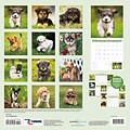 2018 Turner Photographic 12x12 All Mixed Up Wall Calendar (18998940003)