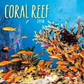 2018 Turner Photographic 7 x 7 Coral Reefs Mini Wall Calendar (18998950033)