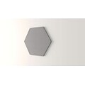OBEX 48 Hexagon Tackboard, Parids (48-TB-H-PA)