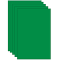 Spectra Deluxe Bleeding Art Tissue, Apple Green, 20 x 30, Grade PK+, 24 Sheets/Pack, 5 Packs/Bundl