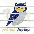 Linden Avenue Wall Art GOOD NIGHT SLEEP TIGHT 12 x 12 (AVE10024)