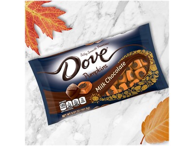 Dove Promises Pumpkin Chocolate Candy, 8.87 Oz. (370933)