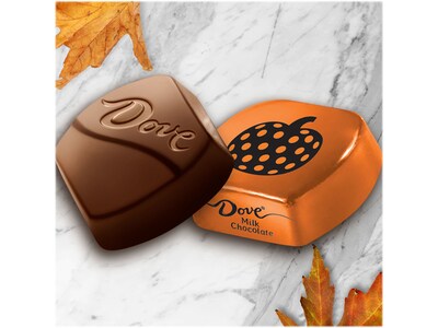 Dove Promises Pumpkin Chocolate Candy, 8.87 Oz. (370933)