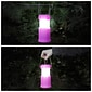 Wakeman Outdoors LED Lantern Pink (M570036)