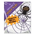 Amscan Stretch Spider Web, 4.24 oz., White, 2/Pack (240082)