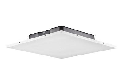 JBL Professional Low-Profile LCT 81C/T 40 (W) Ceiling Tile Loudspeaker, White