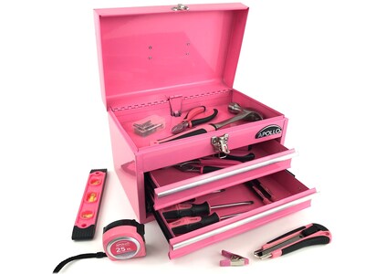 Apollo Tools 2-Drawer Chest Case, Pink (DT5010P)