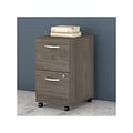 Bush Business Furniture Studio C 2-Drawer Mobile Vertical File Cabinet, Letter/Legal Size, Lockable,