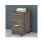 Bush Business Furniture Studio C 2-Drawer Mobile Vertical File Cabinet, Letter/Legal Size, Lockable, Modern Hickory (SCF116MHSU)