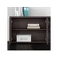 Bush Business Furniture Studio C Low Storage Cabinet with Doors and Shelves, Storm Gray (SCS160SG)