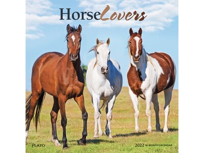 2022 Plato Horse Lovers 12 x 12 Monthly Wall Calendar (9781975445317)