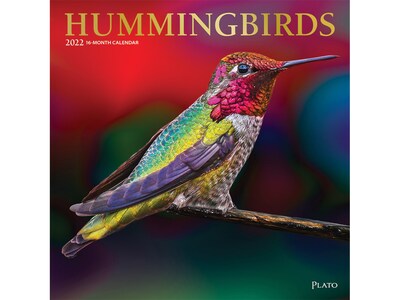2022 Plato Hummingbirds 12 x 12 Monthly Wall Calendar (9781975440015)