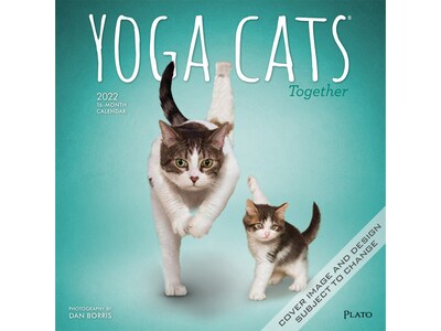 2022 Plato Yoga Cats Together 12 x 12 Monthly Wall Calendar (9781975440664)