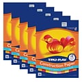 Pacon Tru-Ray 9 x 12 Construction Paper, Warm Colors, 50 Sheets/Pack, 5 Packs (PAC102947-5)