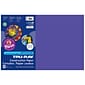 Pacon Tru-Ray 12" x 18" Construction Paper, Purple, 50 Sheets/Pack, 5 Packs (PAC103051-5)