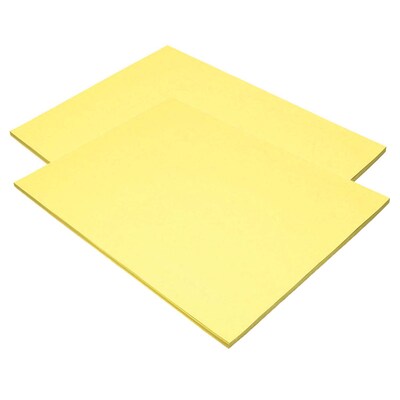 Pacon Tru-Ray 18 x 24 Construction Paper, Light Yellow, 50 Sheets/Pack, 2 Packs (PAC103078-2)