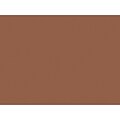 Tru-Ray® Construction Paper, Warm Brown, 18 x 24, 50 Sheets Per Pack, 2 Packs (PAC103089-2)