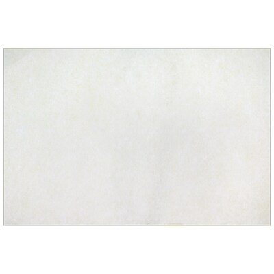 Roylco Color Diffusing Paper, 9" x 12", White, 50/Pack, 3 Packs/Bundle (R-15213-3)