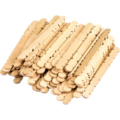 Teacher Created Resources STEM Basics: Skill Sticks, 250/Pack, 6 Packs (TCR20936-6)