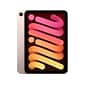 Apple iPad mini 8.3" Tablet, 6th Gen, 256GB, Wi-Fi + Cellular, Pink (MLX93LL/A)