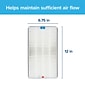 Filtrete True-HEPA RAP Filters True HEPA Air Purifier Filter, 12" x 6.75" x 2" (FAPF-F1N-4)