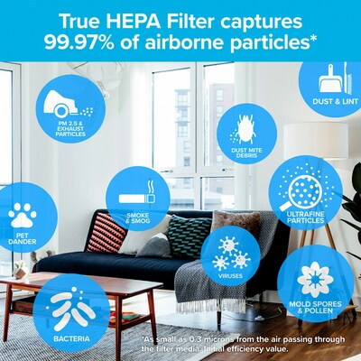 Filtrete True-HEPA RAP Filters True HEPA Air Purifier Filter, 13" x 8.2" x 2" (FAPF-F2N-4)