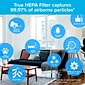 Filtrete True-HEPA RAP Filters True HEPA Air Purifier Filter, 13" x 8.2" x 2" (FAPF-F2N-4)