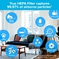 Filtrete True-HEPA RAP Filters True HEPA Air Purifier Filter, 12" x 6.75" x 2" (FAPF-F1N-4)