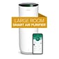 3M Filtrete Smart 310 sq ft Large Room Air Purifier, White (FAP-ST02N)